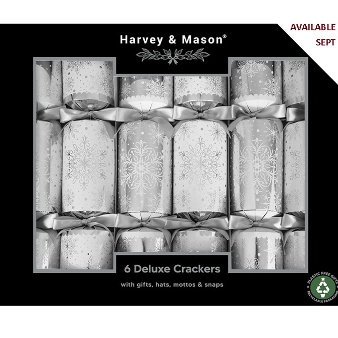 Deluxe Silver Snowflake