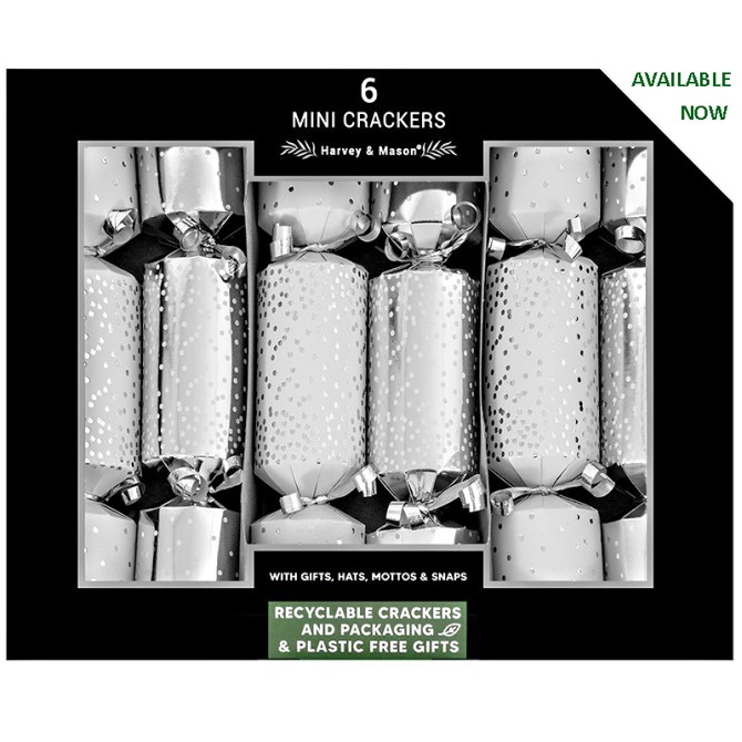 Mini Silver Scatter Crackers