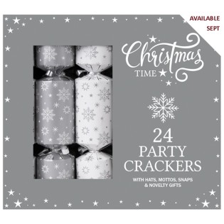 Silver Party Box 9"