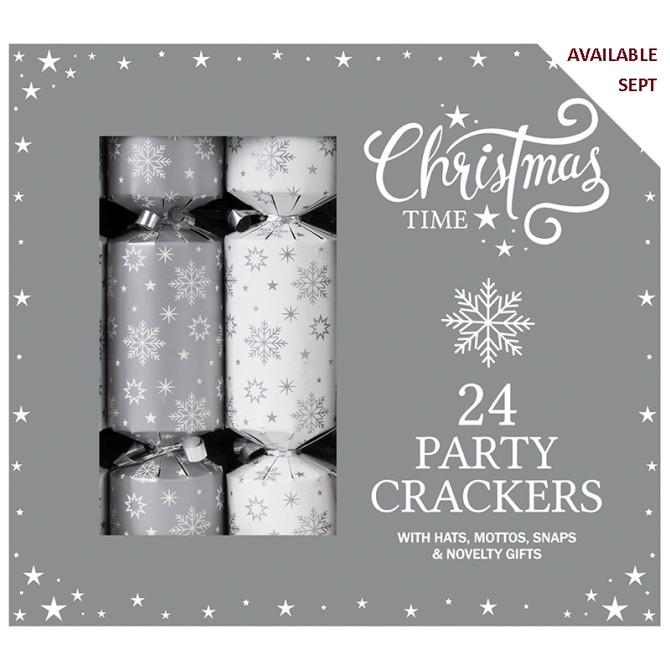 Silver Party Box 9"