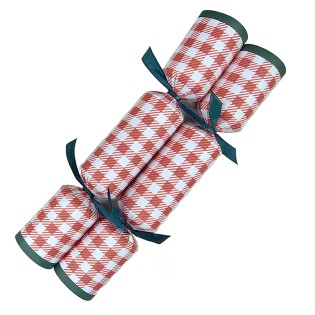 Gingham 11" Red Catering...