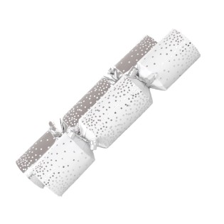 Mini Silver Scatter Crackers